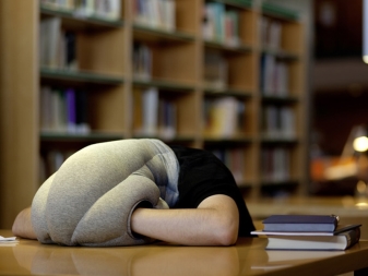 Подушка для сна ostrich pillow. podushki straus 10. Подушка для сна ostrich pillow фото. Подушка для сна ostrich pillow-podushki straus 10. картинка Подушка для сна ostrich pillow. картинка podushki straus 10. Быстрая и бесплатная * доставка