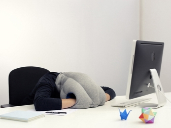 Подушка для сна ostrich pillow. podushki straus 9. Подушка для сна ostrich pillow фото. Подушка для сна ostrich pillow-podushki straus 9. картинка Подушка для сна ostrich pillow. картинка podushki straus 9. Быстрая и бесплатная * доставка