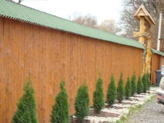 Деревянные заборы: эффектная защита участка