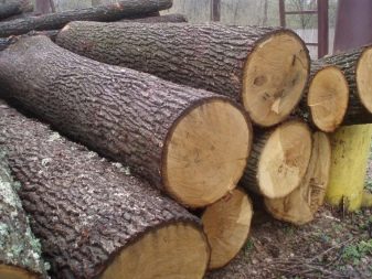 Баня на дровах: плюсы и минусы