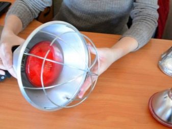 Как сделать курятник для кур несушек своими руками на зиму. Смотреть фото Как сделать курятник для кур несушек своими руками на зиму. Смотреть картинку Как сделать курятник для кур несушек своими руками на зиму. Картинка про Как сделать курятник для кур несушек своими руками на зиму. Фото Как сделать курятник для кур несушек своими руками на зиму