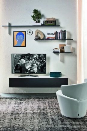 Мебель под телевизор в гостиную: особенности дизайна
