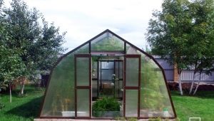 Теплицы Glass House: особенности и преимущества конструкций