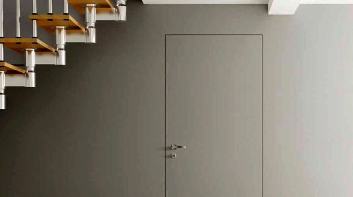 Двери для кладовки в квартире