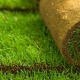 Устройство рулонного газона: особенности материала и технология укладки