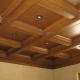 Кессонный потолок: плюсы и минусы