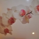 Натяжные потолки с орхидеей: романтичный интерьер в вашем доме