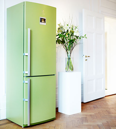 Холодильник в цвет мебели