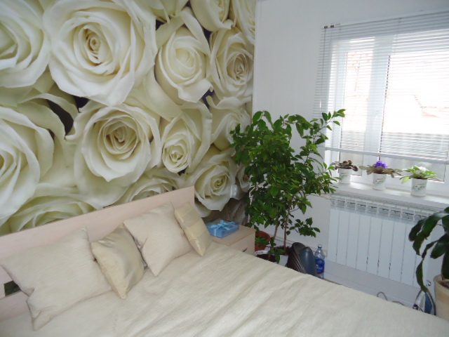 White roses wallpaper on the head board wall of the bedroom