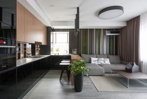 Kuhinja studio: dizajn interijera i izgled
