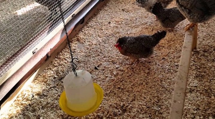 Как сделать курятник для кур несушек своими руками на зиму. Смотреть фото Как сделать курятник для кур несушек своими руками на зиму. Смотреть картинку Как сделать курятник для кур несушек своими руками на зиму. Картинка про Как сделать курятник для кур несушек своими руками на зиму. Фото Как сделать курятник для кур несушек своими руками на зиму