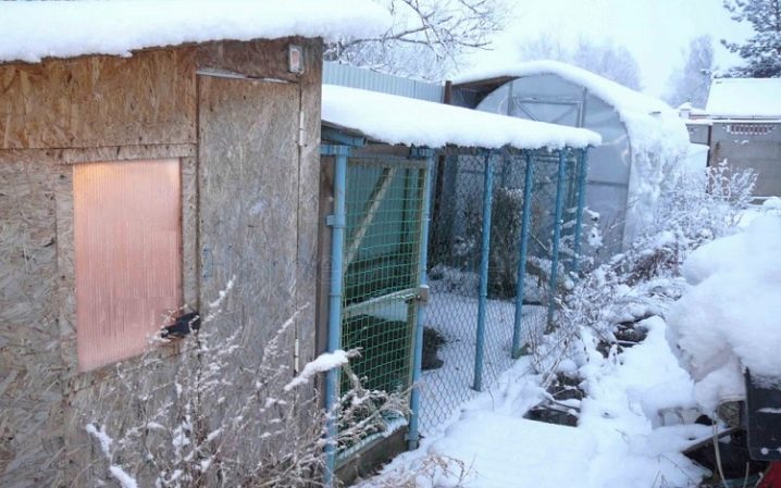 Как сделать курятник для кур несушек своими руками на зиму. Смотреть фото Как сделать курятник для кур несушек своими руками на зиму. Смотреть картинку Как сделать курятник для кур несушек своими руками на зиму. Картинка про Как сделать курятник для кур несушек своими руками на зиму. Фото Как сделать курятник для кур несушек своими руками на зиму
